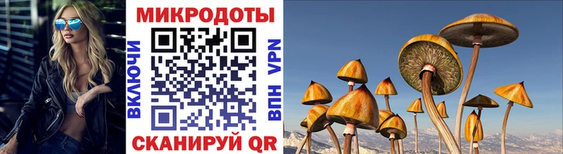 Псилоцибиновые грибы мицелий  блэк спрут онион  Кондопога  как найти наркотики 