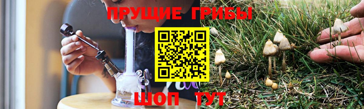 Галлюциногенные грибы ЛСД  Вход с VPN  Кондопога  Псилоцибиновые грибы MAGIC MUSHROOMS 