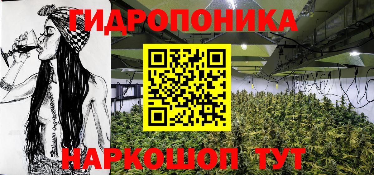 Конопля гибрид Кондопога